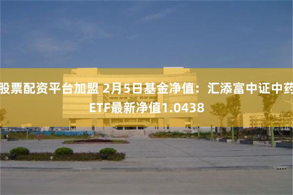 股票配资平台加盟 2月5日基金净值：汇添富中证中药ETF最新净值1.0438