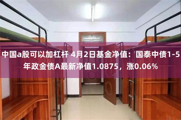 中国a股可以加杠杆 4月2日基金净值：国泰中债1-5年政金债A最新净值1.0875，涨0.06%