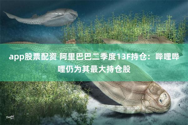 app股票配资 阿里巴巴二季度13F持仓：哔哩哔哩仍为其最大持仓股