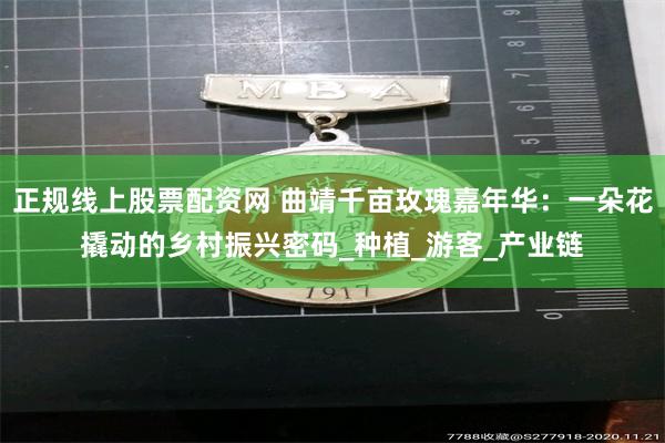 正规线上股票配资网 曲靖千亩玫瑰嘉年华：一朵花撬动的乡村振兴密码_种植_游客_产业链