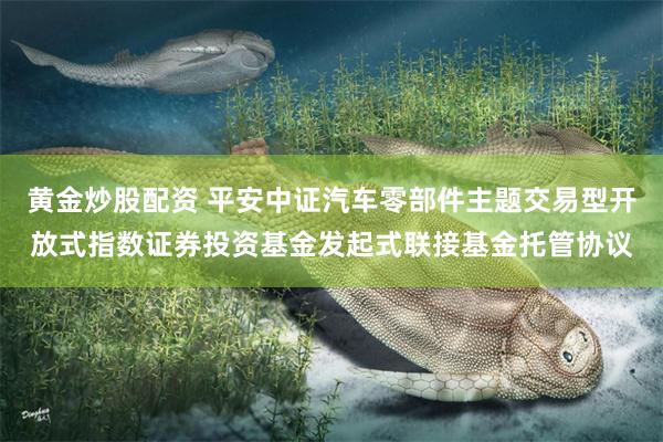 黄金炒股配资 平安中证汽车零部件主题交易型开放式指数证券投资基金发起式联接基金托管协议
