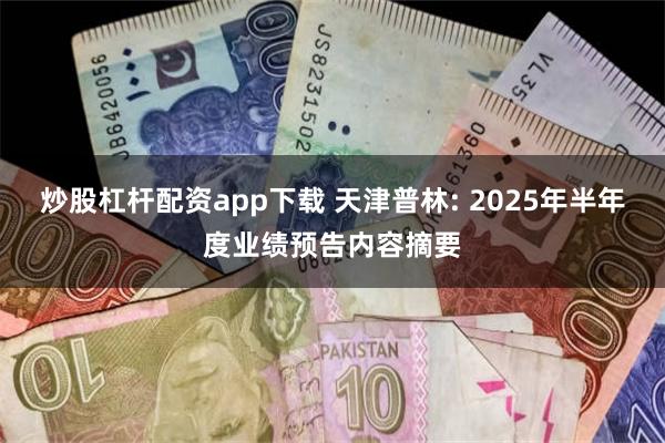 炒股杠杆配资app下载 天津普林: 2025年半年度业绩预告内容摘要