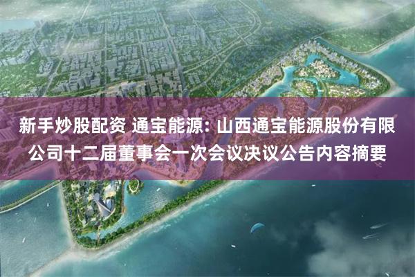 新手炒股配资 通宝能源: 山西通宝能源股份有限公司十二届董事会一次会议决议公告内容摘要