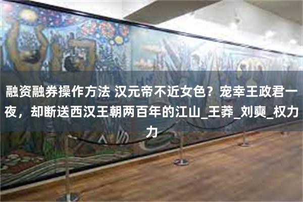 融资融券操作方法 汉元帝不近女色？宠幸王政君一夜，却断送西汉王朝两百年的江山_王莽_刘奭_权力