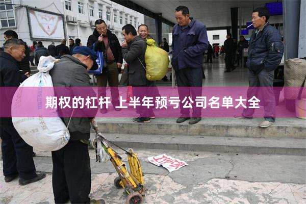 期权的杠杆 上半年预亏公司名单大全