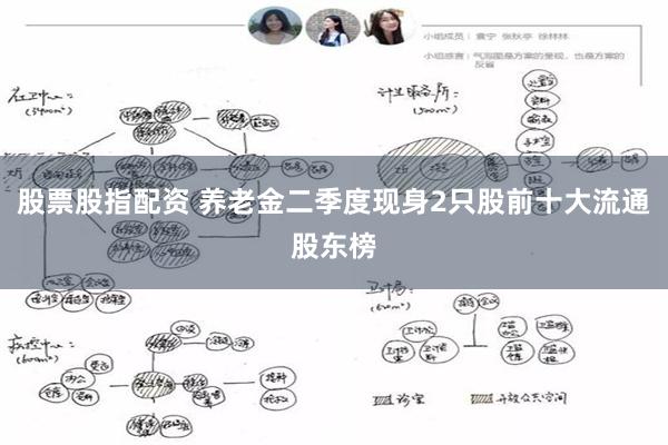 股票股指配资 养老金二季度现身2只股前十大流通股东榜