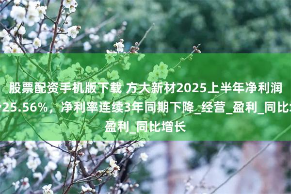 股票配资手机版下载 方大新材2025上半年净利润下滑25.56%，净利率连续3年同期下降_经营_盈利_同比增长