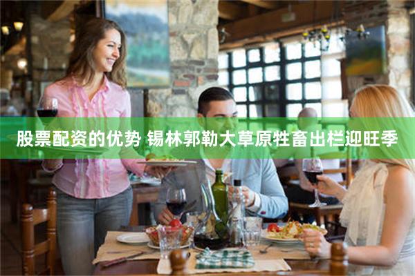 股票配资的优势 锡林郭勒大草原牲畜出栏迎旺季