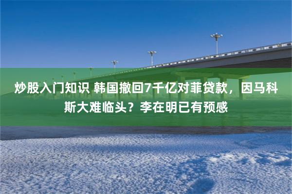炒股入门知识 韩国撤回7千亿对菲贷款，因马科斯大难临头？李在明已有预感